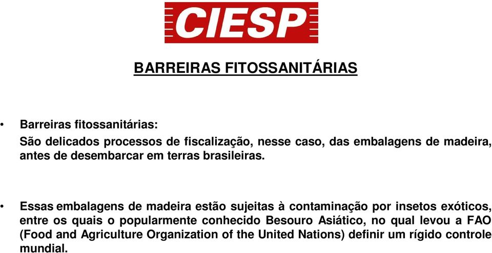 Essas embalagens de madeira estão sujeitas à contaminação por insetos exóticos, entre os quais o