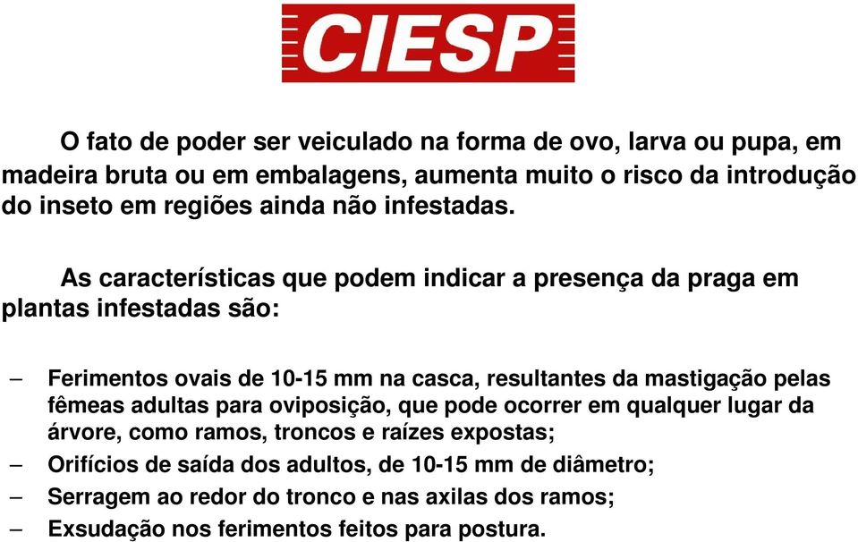 As características que podem indicar a presença da praga em plantas infestadas são: Ferimentos ovais de 10-15 mm na casca, resultantes da mastigação