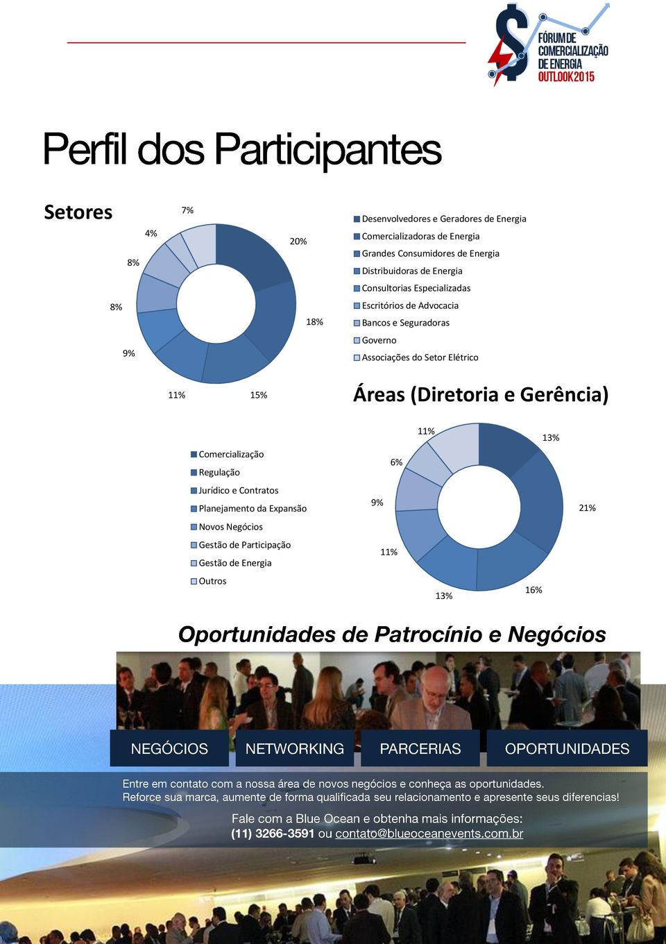 Governo Associações do Setor Elétrico 11% 15% Áreas (Diretoria e Gerência) 11% 13% Comercialização Regulação 6%