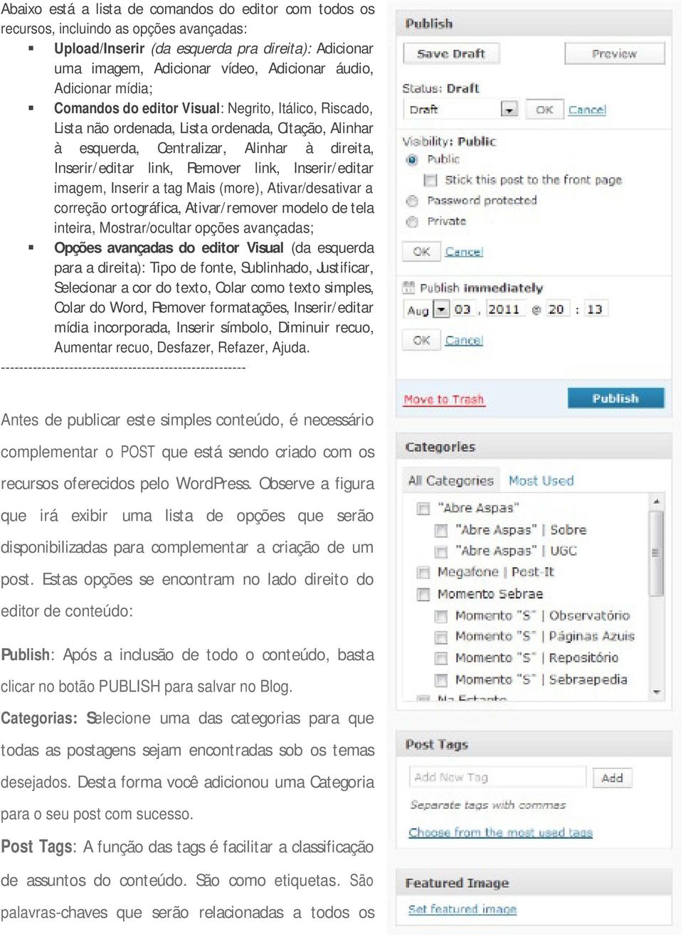 link, Inserir/editar imagem, Inserir a tag Mais (more), Ativar/desativar a correção ortográfica, Ativar/remover modelo de tela inteira, Mostrar/ocultar opções avançadas; Opções avançadas do editor