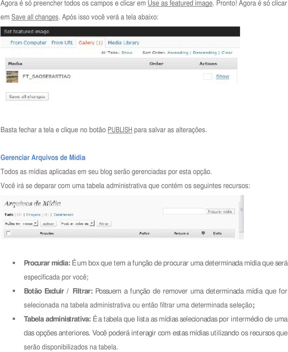 Gerenciar Arquivos de Mídia Todos as mídias aplicadas em seu blog serão gerenciadas por esta opção.