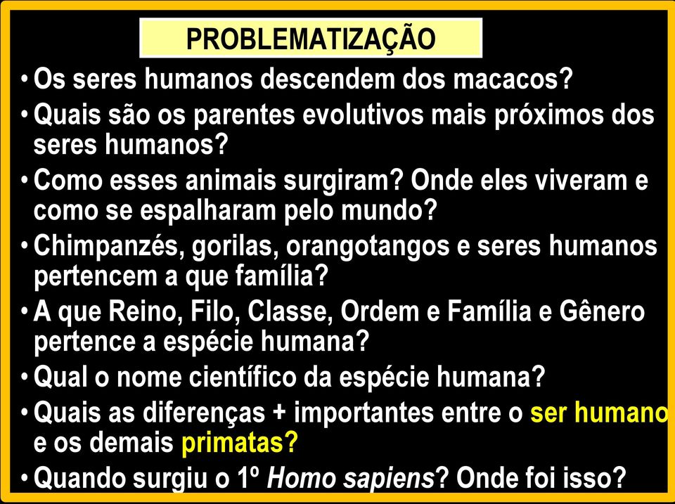 Chimpanzés, gorilas, orangotangos e seres humanos pertencem a que família?