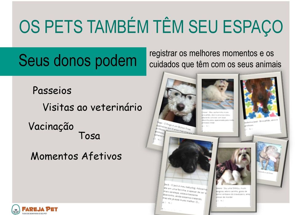 cuidados que têm com os seus animais Passeios