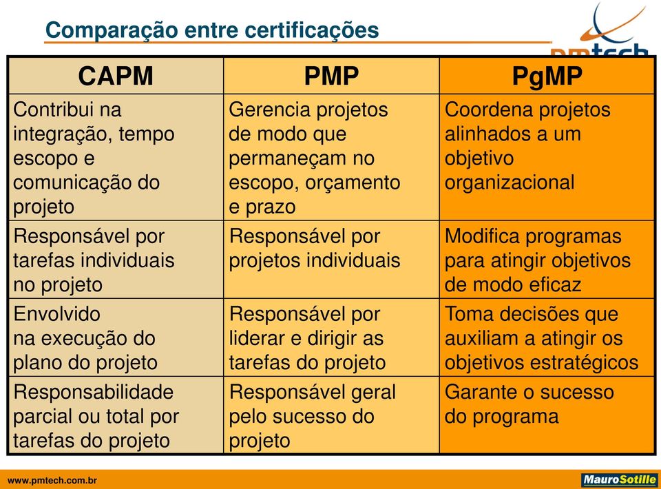 Responsável por projetos individuais Responsável por liderar e dirigir as tarefas do projeto Responsável geral pelo sucesso do projeto Coordena projetos alinhados a