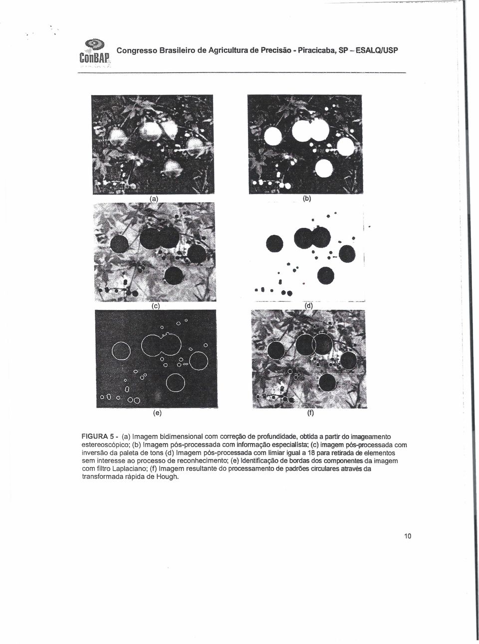 informação especialista; (c) imagem pós-processada com inversão da paleta de tons (d) Imagem pós-processada com limiar igual a 18 para retirada de elementos