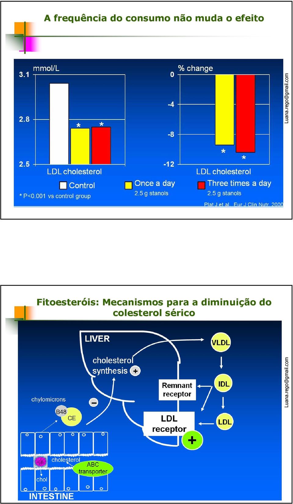 com Fitoesteróis is: : Mecanismos