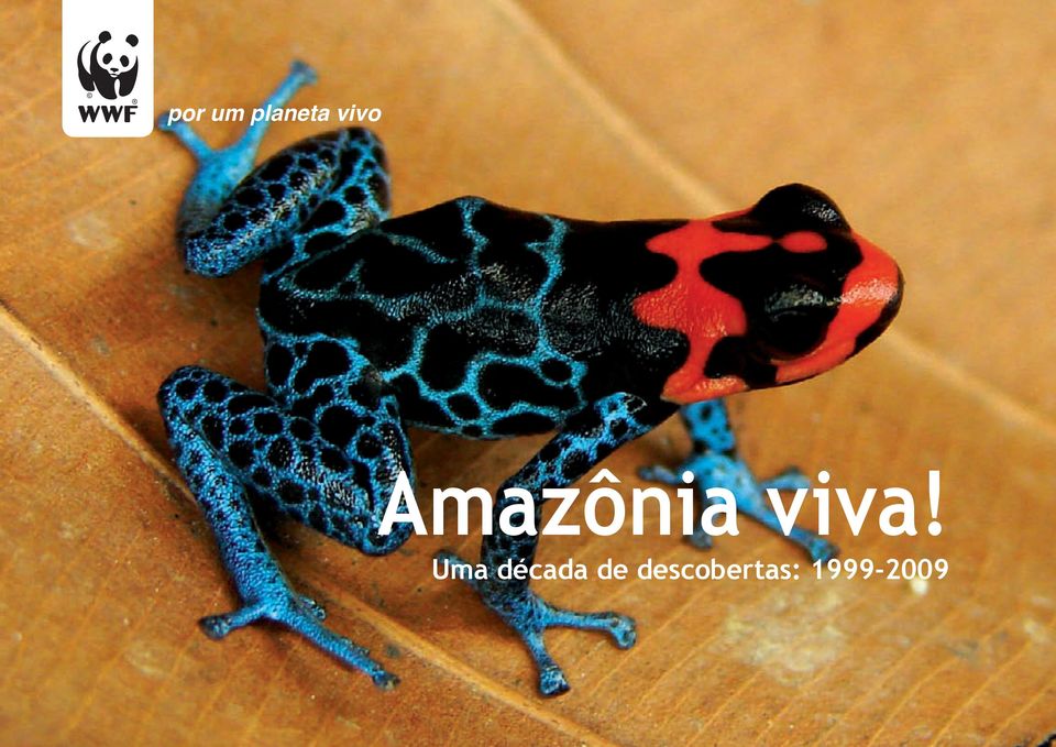 descobertas: 1999-2009 amazônia