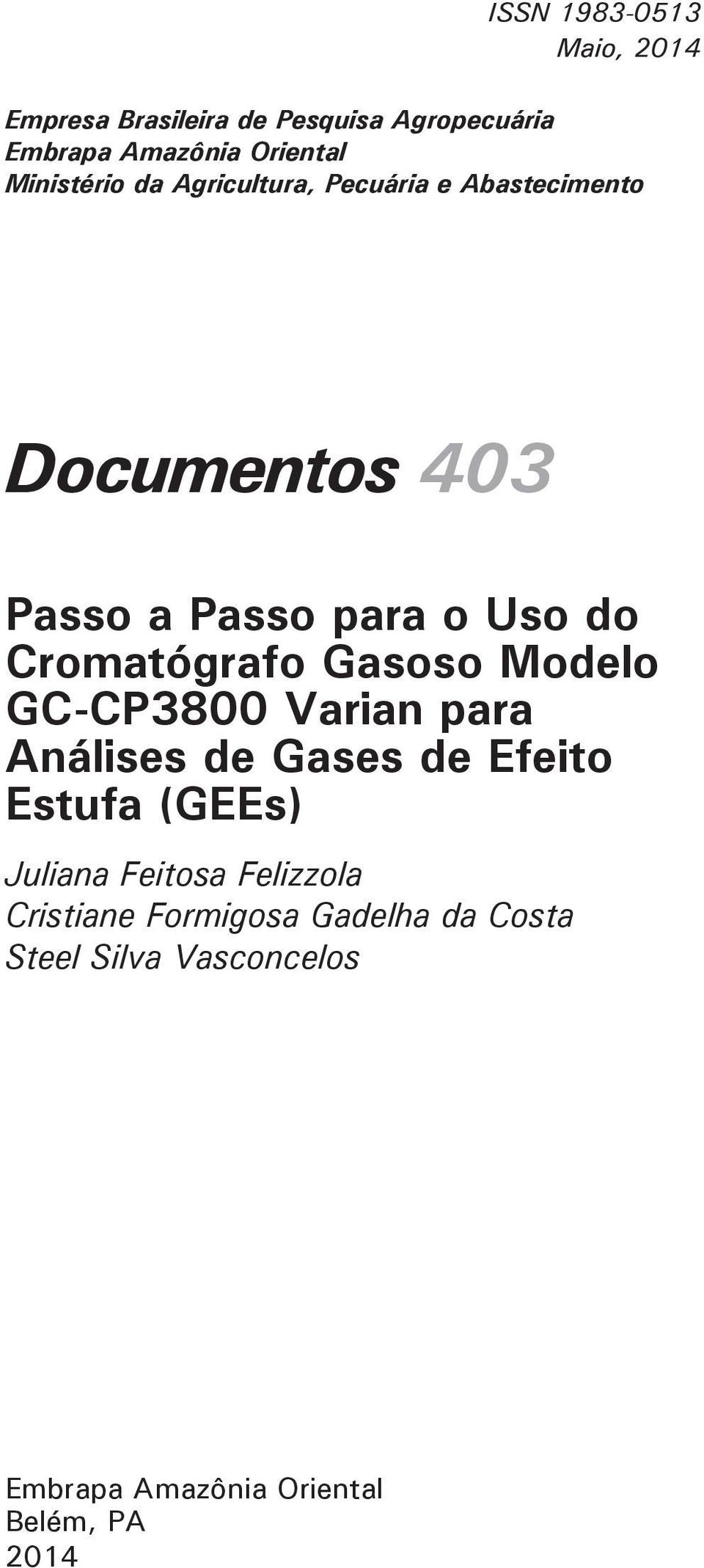 Cromatógrafo Gasoso Modelo GC-CP3800 Varian para Análises de Gases de Efeito Estufa (GEEs) Juliana