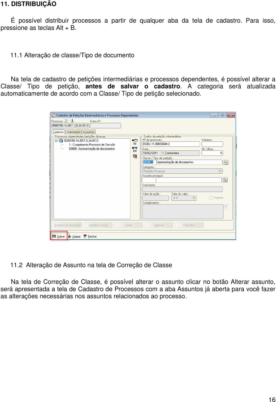 cadastro. A categoria será atualizada automaticamente de acordo com a Classe/ Tipo de petição selecionado. 11.