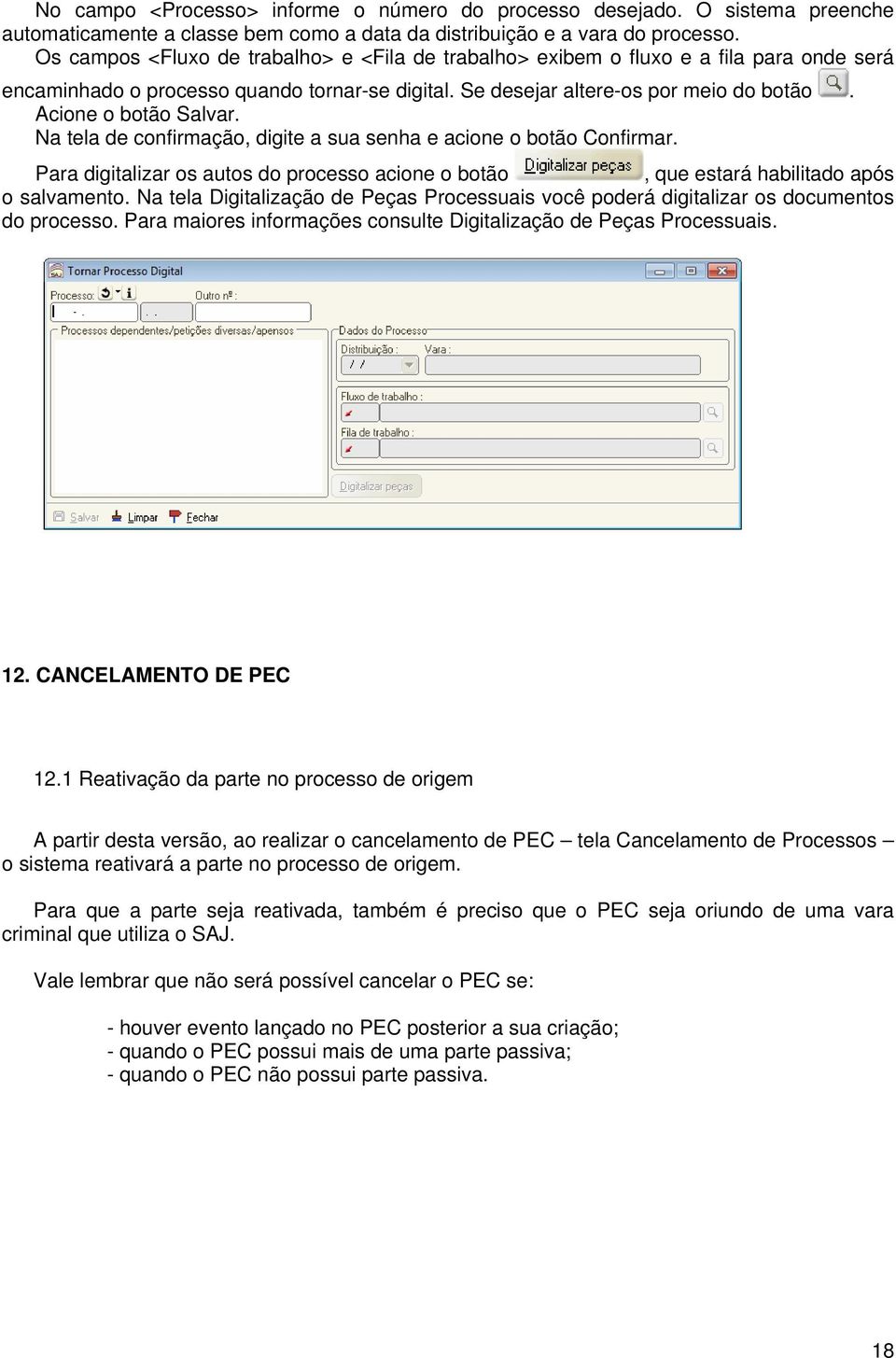 Acione o botão Salvar. Na tela de confirmação, digite a sua senha e acione o botão Confirmar. Para digitalizar os autos do processo acione o botão, que estará habilitado após o salvamento.