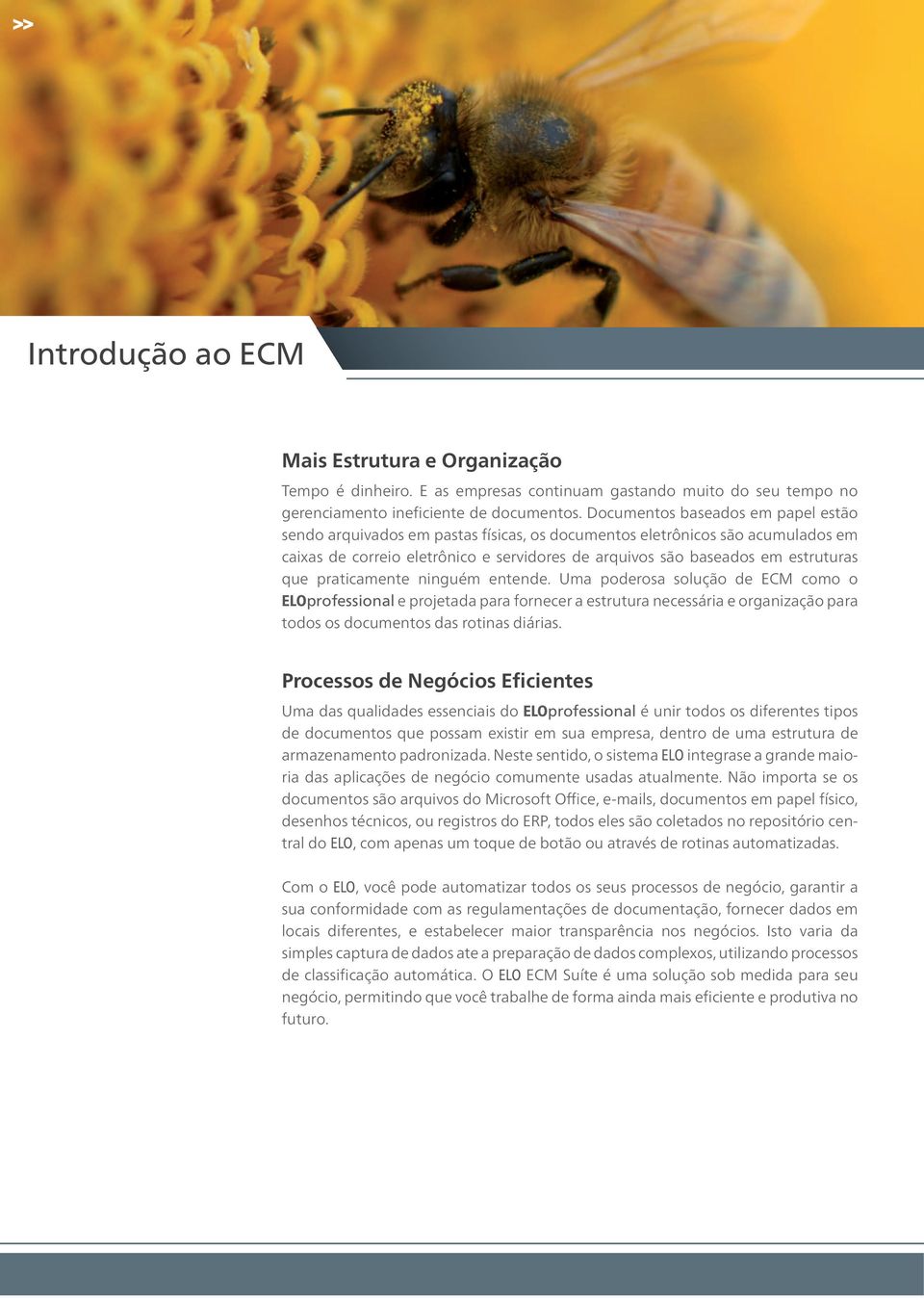 praticamente ninguém entende. Uma poderosa solução de ECM como o ELOprofessional e projetada para fornecer a estrutura necessária e organização para todos os documentos das rotinas diárias.