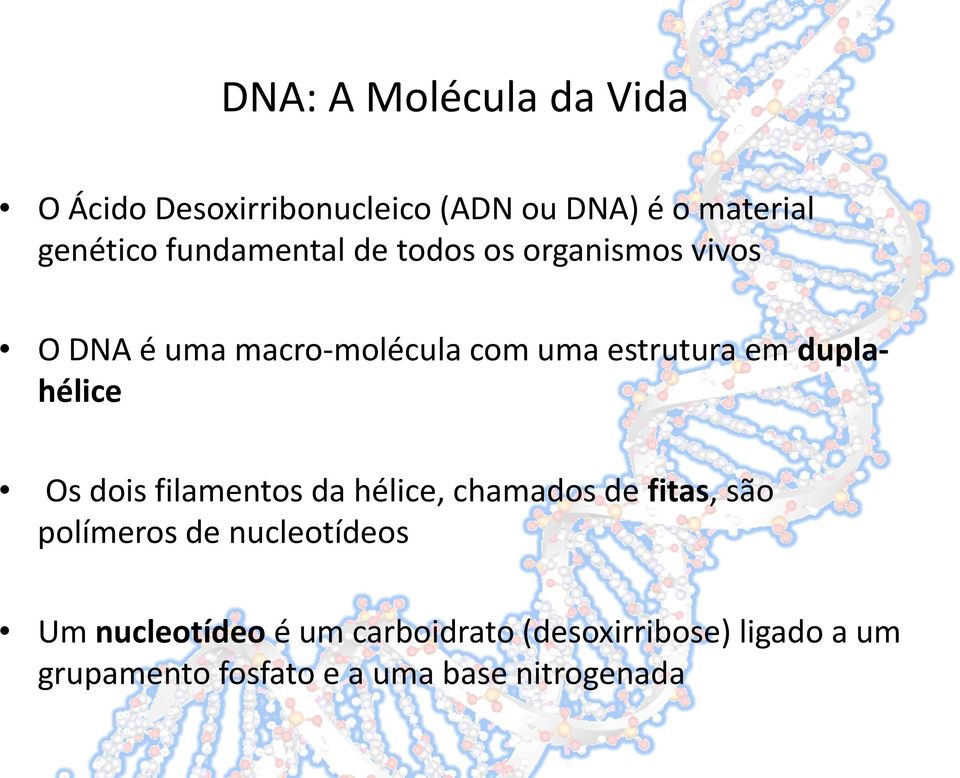 duplahélice Os dois filamentos da hélice, chamados de fitas, são polímeros de nucleotídeos