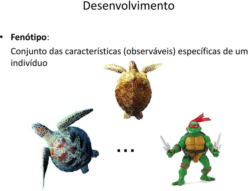 características