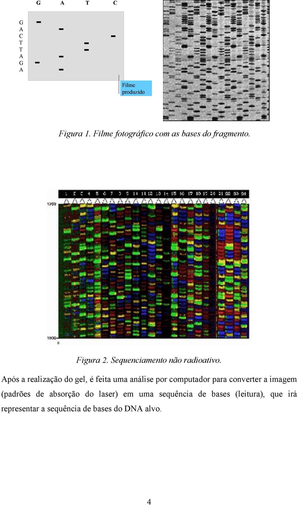 Após a realização do gel, é feita uma análise por computador para converter a imagem