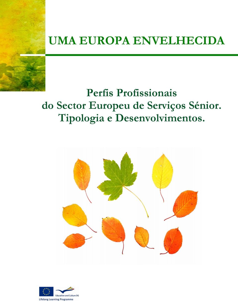 Sector Europeu de Serviços