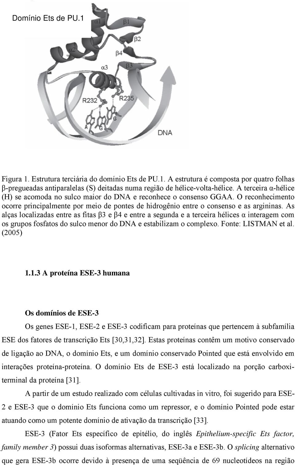 As alças localizadas entre as fitas β3 e β4 e entre a segunda e a terceira hélices α interagem com os grupos fosfatos do sulco menor do DNA e estabilizam o complexo. Fonte: LISTMAN et al. (2005) 1.