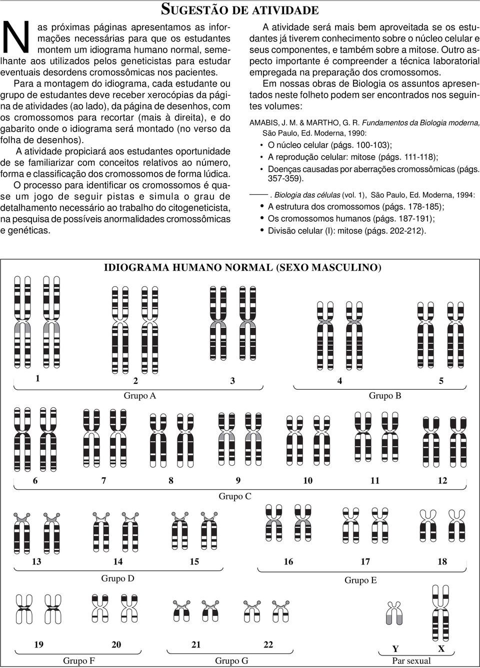 Para a montagem do idiograma, cada estudante ou grupo de estudantes deve receber xerocópias da página de atividades (ao lado), da página de desenhos, com os cromossomos para recortar (mais à