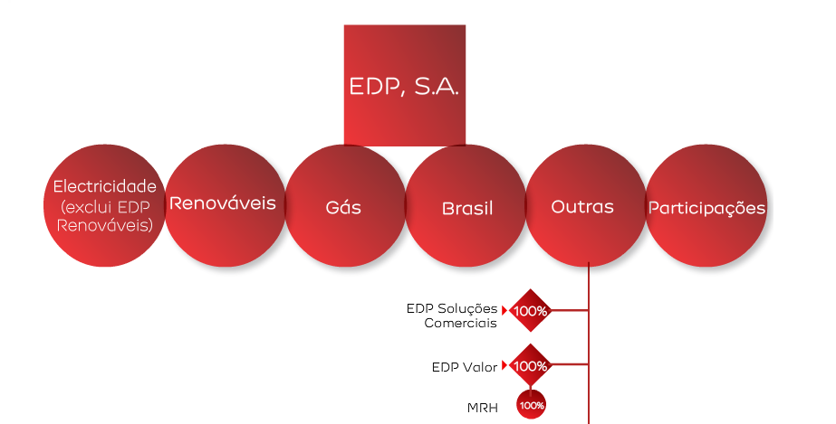 Figura 11 Estrutura do Grupo EDP [22].