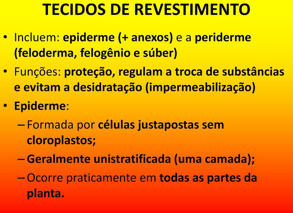 desidratação (impermeabilização) Epiderme: Formada por células justapostas sem