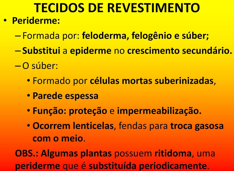 O súber: Formado por células mortas suberinizadas, Parede espessa Função: proteção e