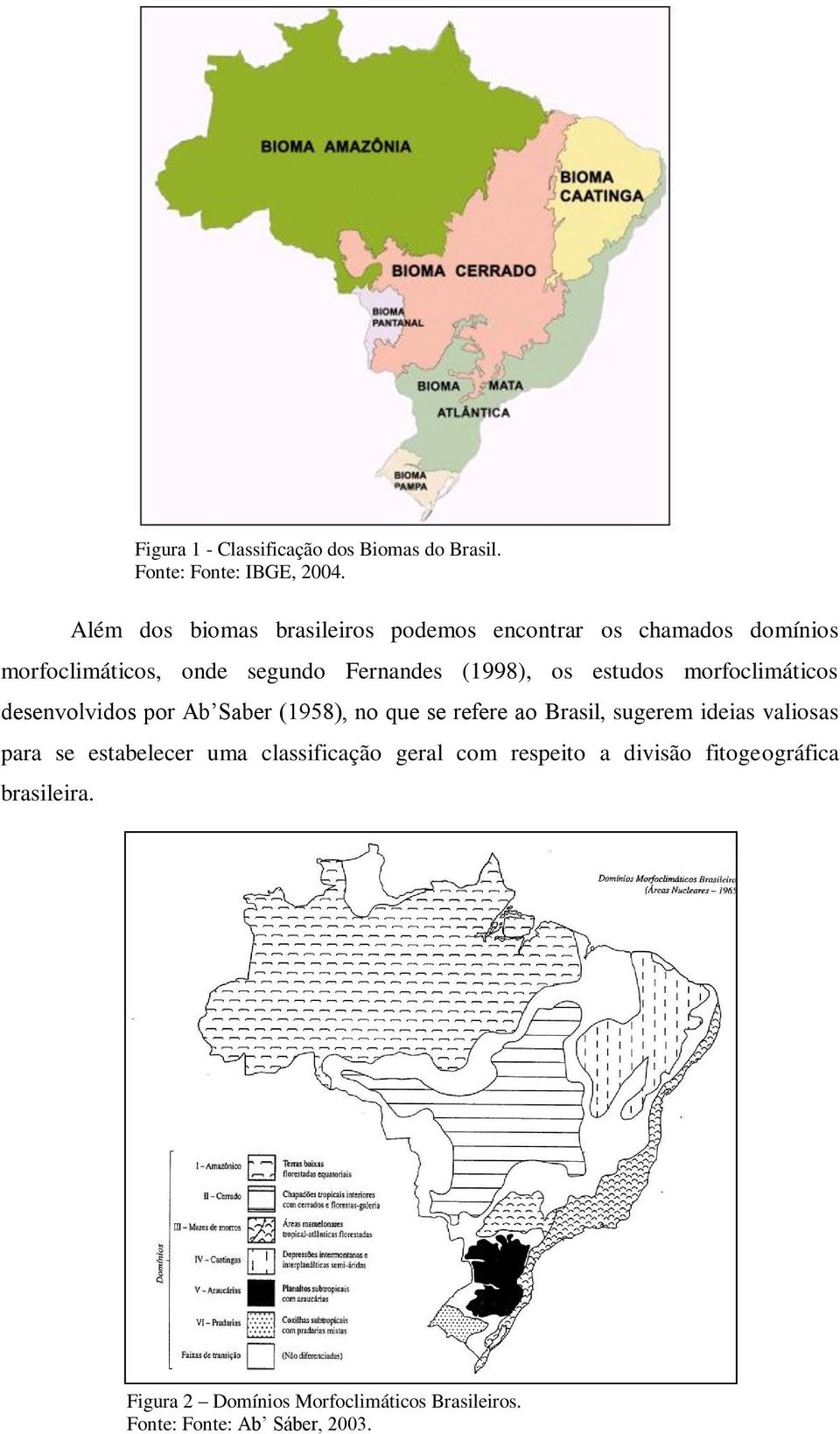 se estabelecer uma classificação geral com respeito a divisão fitogeográfica brasileira.