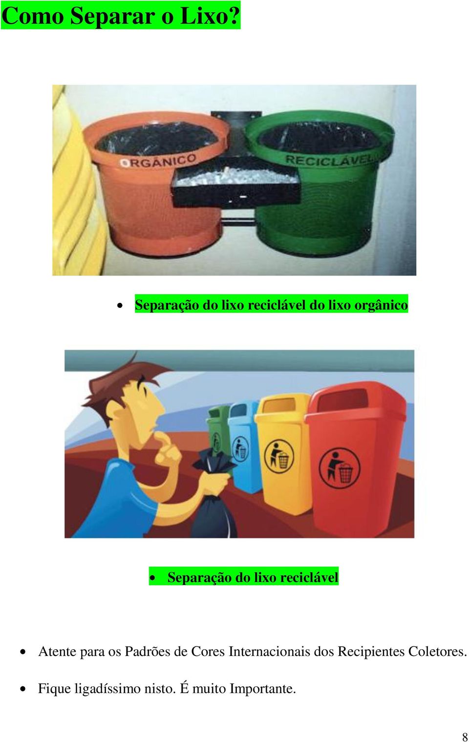 Separação do lixo reciclável Atente para os Padrões