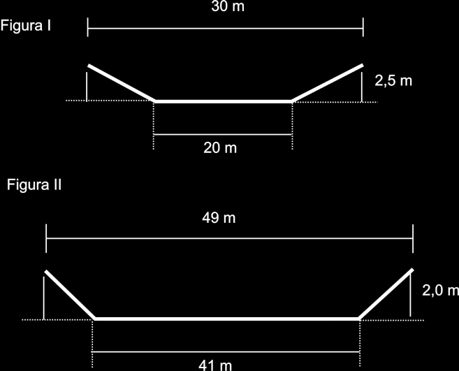 Questão 29 - (ENEM/2009) Um experimento consiste em colocar certa quantidade de bolas de vidro idênticas em um copo com água até certo nível e medir o nível da água, conforme ilustrado na figura a