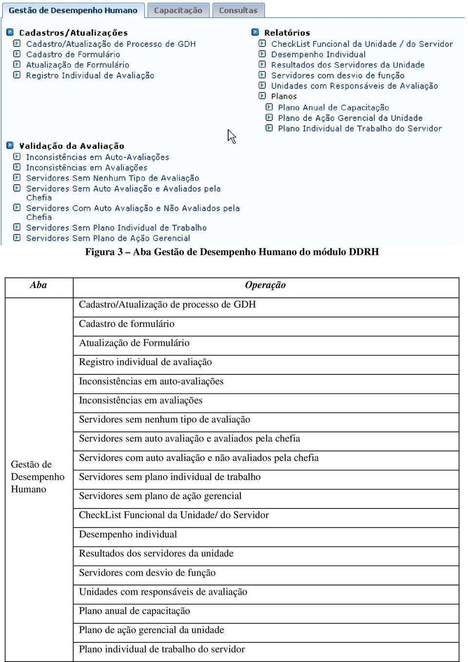 com auto avaliação e não avaliados pela chefia Servidores sem plano individual de trabalho Servidores sem plano de ação gerencial CheckList Funcional da Unidade/ do Servidor Desempenho individual