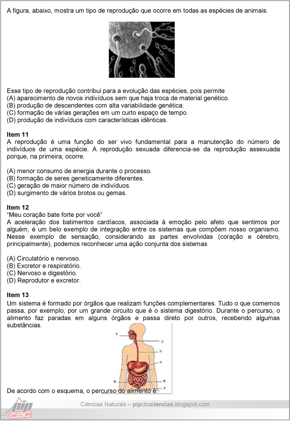 (B) produção de descendentes com alta variabilidade genética. (C) formação de várias gerações em um curto espaço de tempo. (D) produção de indivíduos com características idênticas.