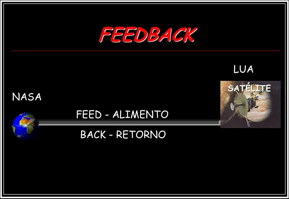 ALIMENTO BACK