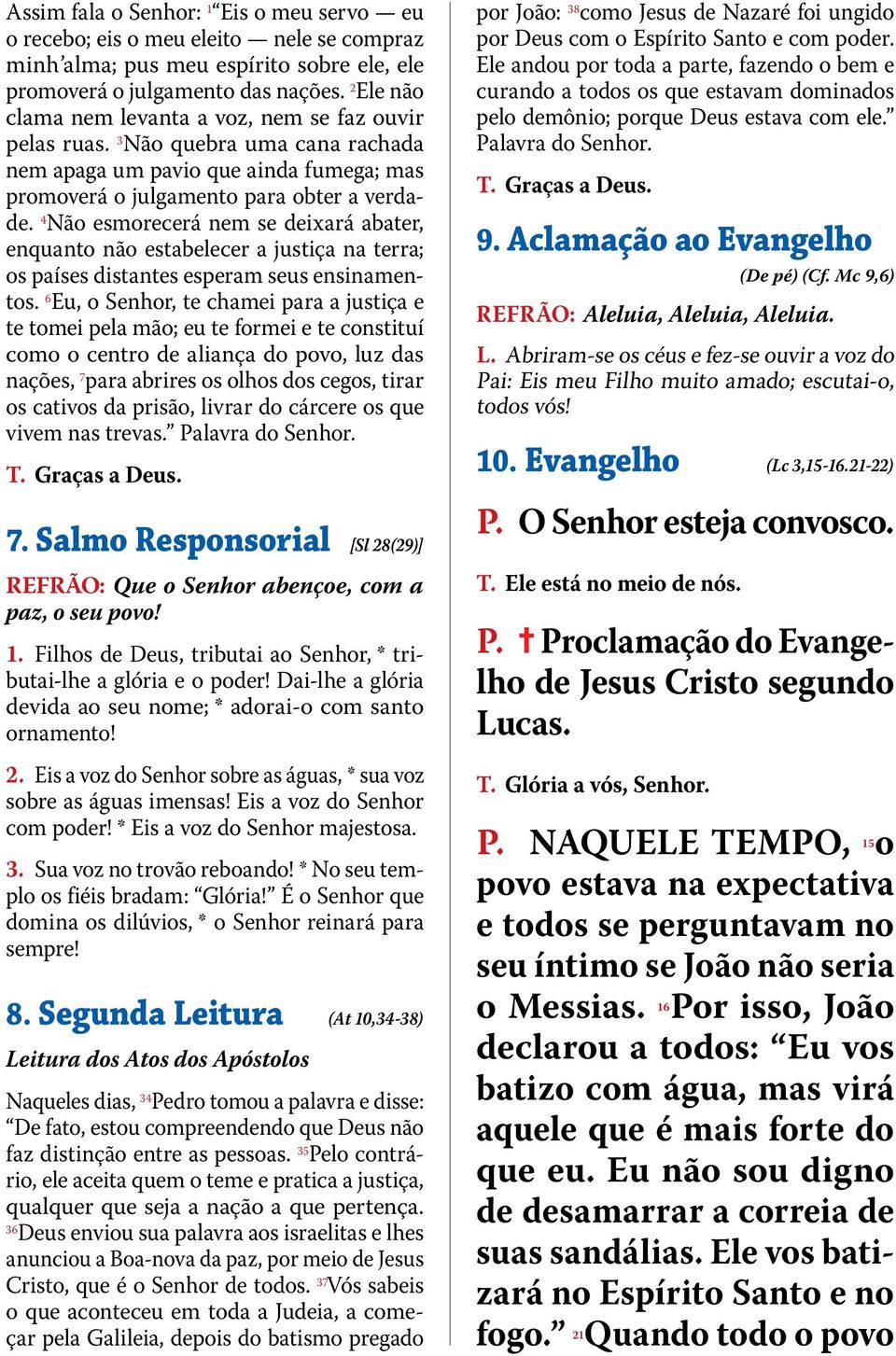 4 Não esmorecerá nem se deixará abater, enquanto não estabelecer a justiça na terra; os países distantes esperam seus ensinamentos.