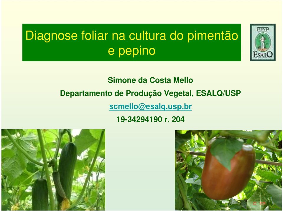 Departamento de Produção Vegetal,