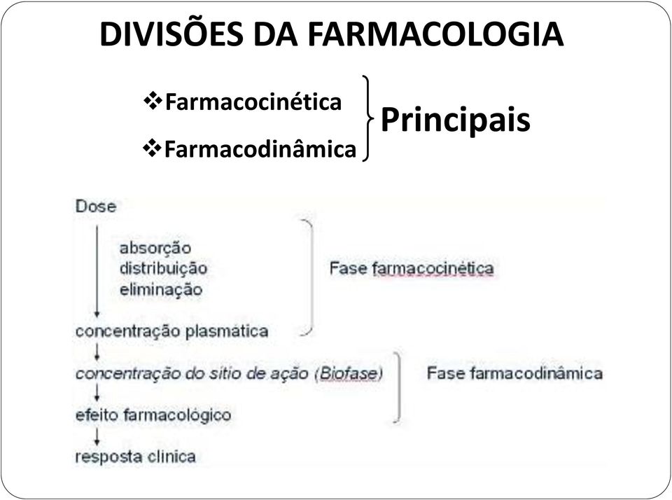 Farmacocinética