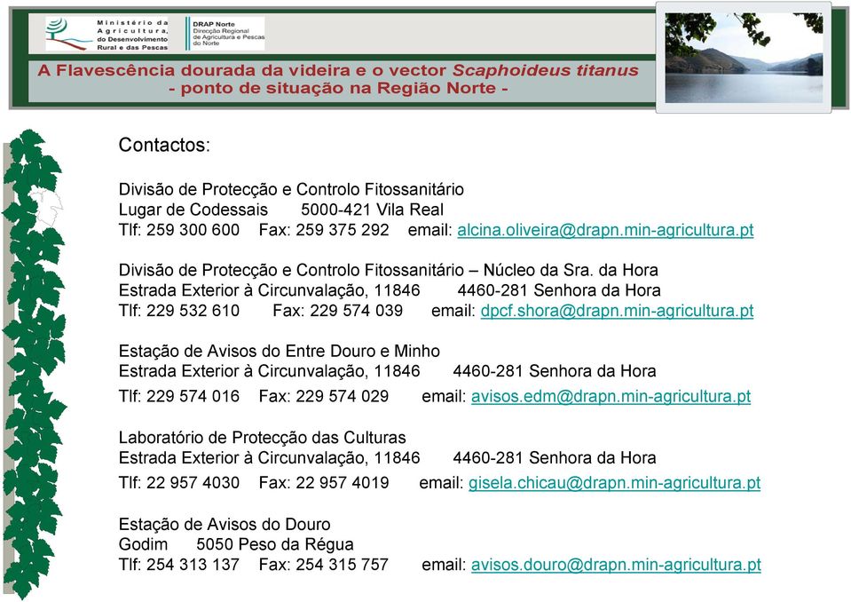 min-agricultura.pt Estação Avisos Entre Douro e Minho Estrada Exterior à Circunvalação, 11846 4460-281 Senhora da Hora Tlf: 229 574 016 Fax: 229 574 029 email: avisos.edm@drapn.min-agricultura.pt Laboratório Protecção das Culturas Estrada Exterior à Circunvalação, 11846 4460-281 Senhora da Hora Tlf: 22 957 4030 Fax: 22 957 4019 email: gisela.