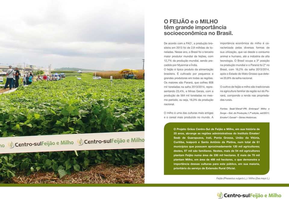 É cultivado por pequenos e grandes produtores em todas as regiões.