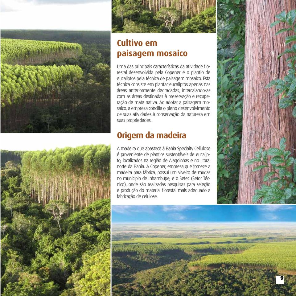 Ao adotar a paisagem mosaico, a empresa concilia o pleno desenvolvimento de suas atividades à conservação da natureza em suas propriedades.