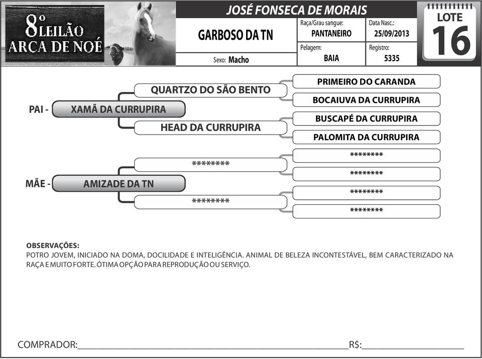 CURRUPIRA PALOMITA DA CURRUPIRA AMIZADE DA TN POTRO JOVEM, INICIADO NA DOMA, DOCILIDADE E