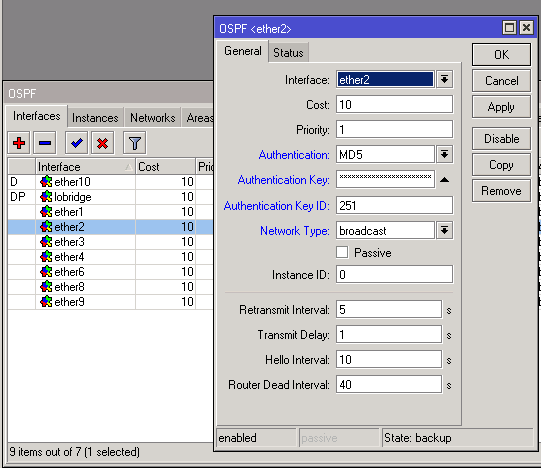 OSPF 19