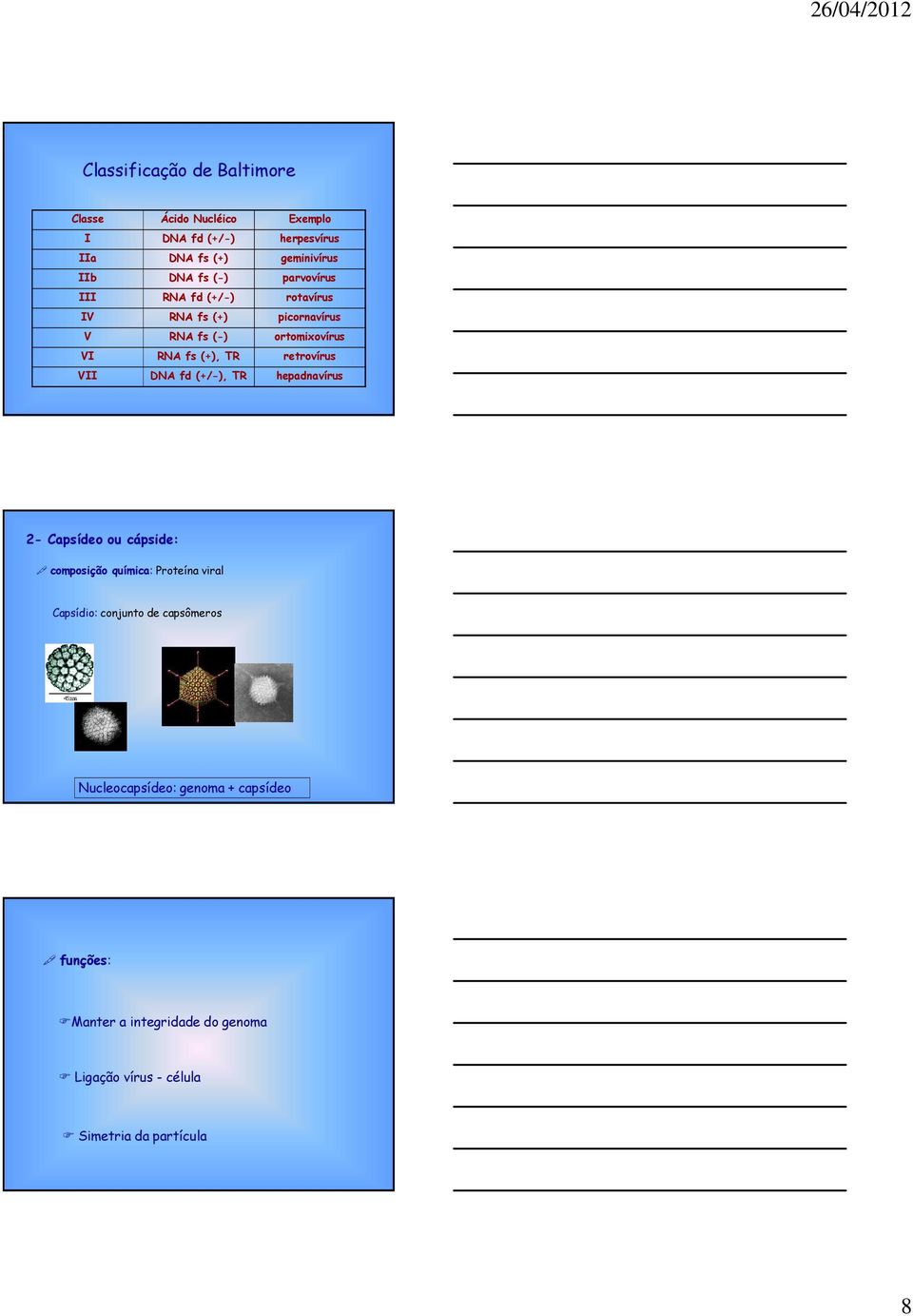 retrovírus VII DNA fd (+/-), TR hepadnavírus 2- Capsídeo ou cápside: composição química: Proteína viral Capsídio: conjunto