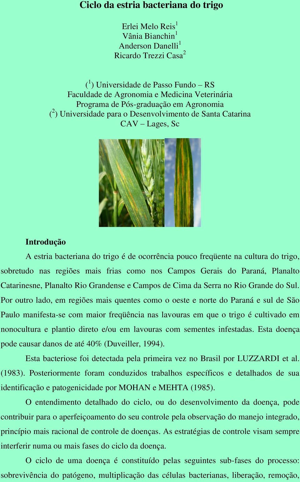 trigo, sobretudo nas regiões mais frias como nos Campos Gerais do Paraná, Planalto Catarinesne, Planalto Rio Grandense e Campos de Cima da Serra no Rio Grande do Sul.