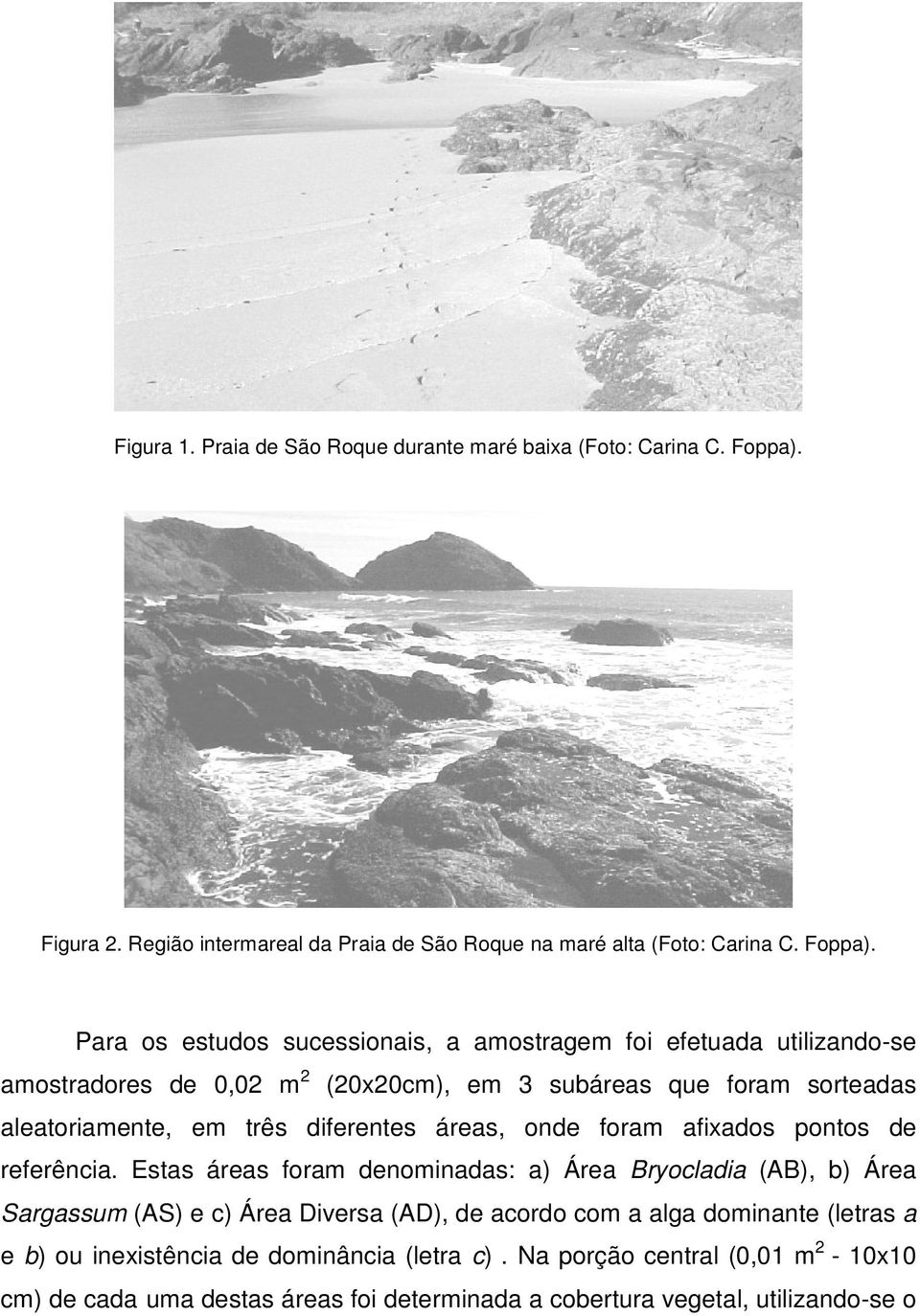 Para os estudos sucessionais, a amostragem foi efetuada utilizando-se amostradores de,2 m 2 (2x2cm), em 3 subáreas que foram sorteadas aleatoriamente, em três diferentes