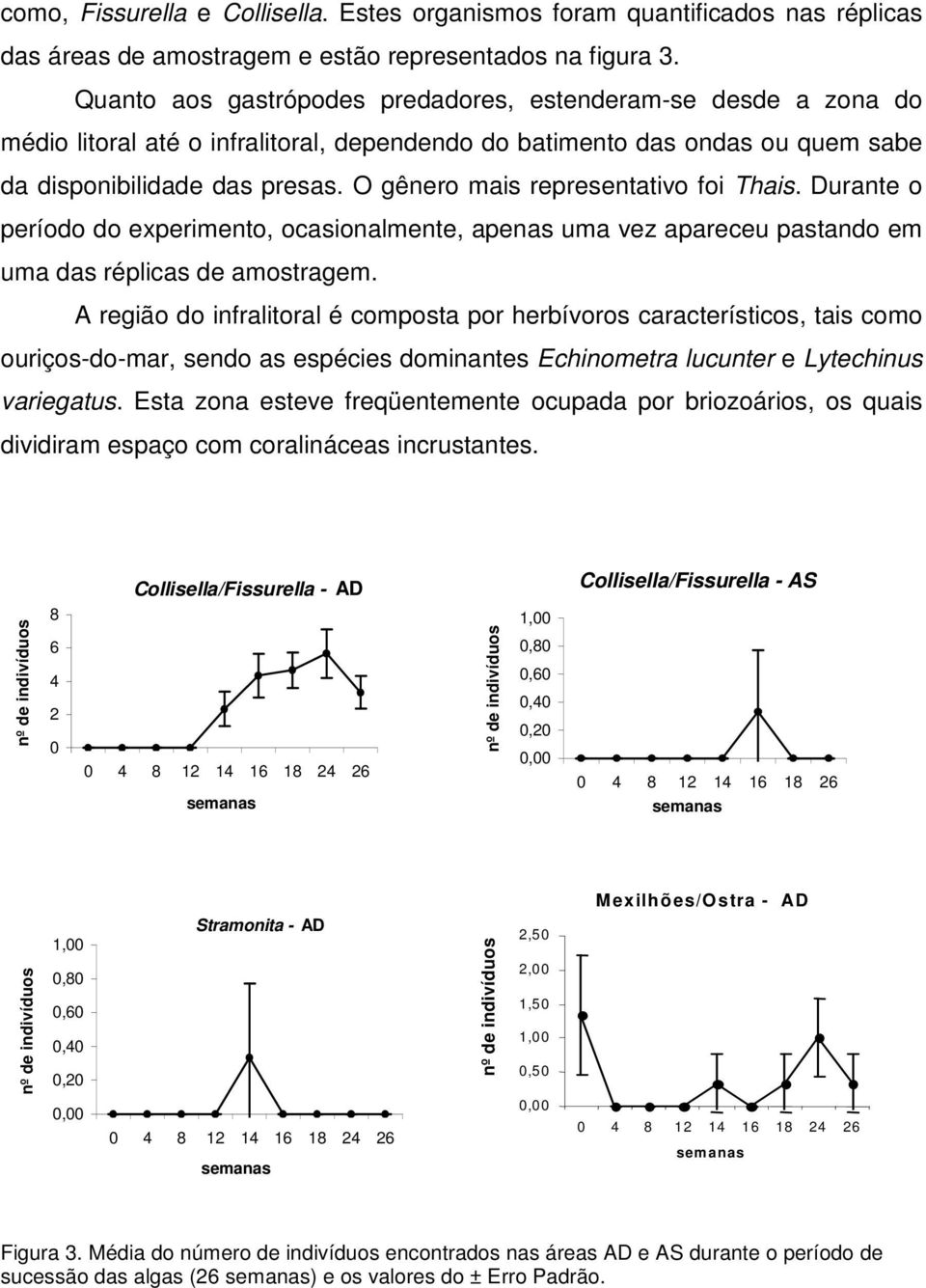 O gênero mais representativo foi Thais. Durante o período do experimento, ocasionalmente, apenas uma vez apareceu pastando em uma das réplicas de amostragem.