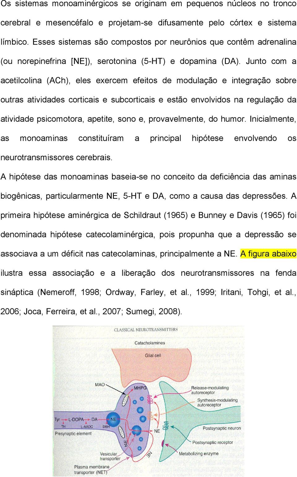 Junto com a acetilcolina (ACh), eles exercem efeitos de modulação e integração sobre outras atividades corticais e subcorticais e estão envolvidos na regulação da atividade psicomotora, apetite, sono