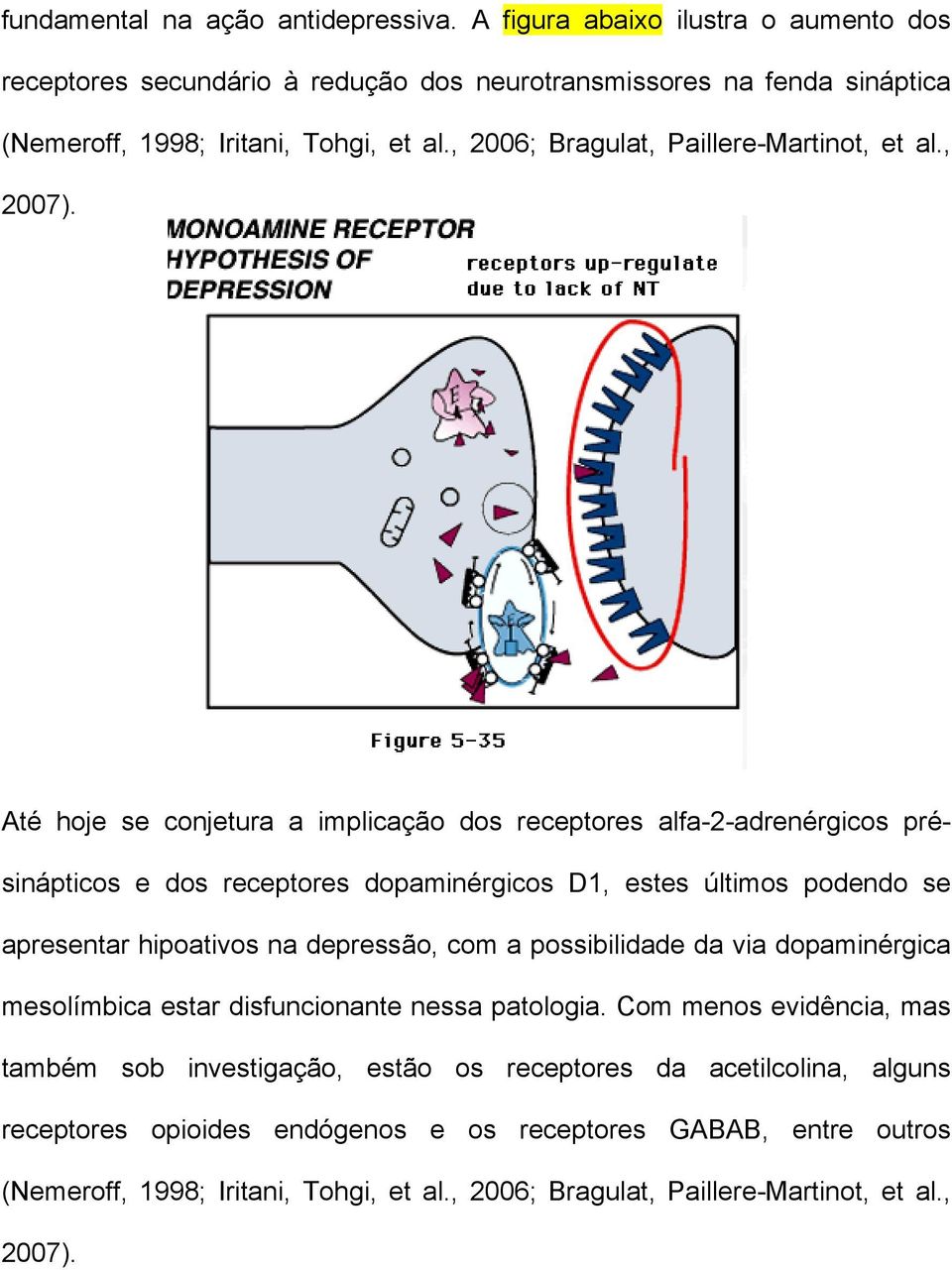 Até hoje se conjetura a implicação dos receptores alfa-2-adrenérgicos présinápticos e dos receptores dopaminérgicos D1, estes últimos podendo se apresentar hipoativos na depressão, com a