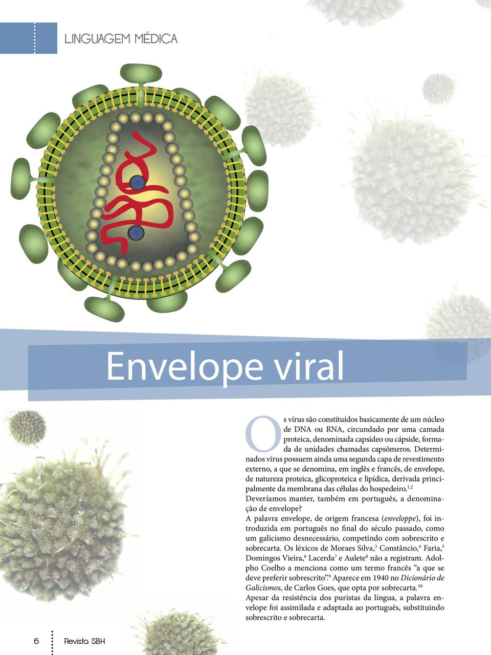 Determinados vírus possuem ainda uma segunda capa de revestimento externo, a que se denomina, em inglês e francês, de envelope, de natureza proteica, glicoproteica e lipídica, derivada principalmente