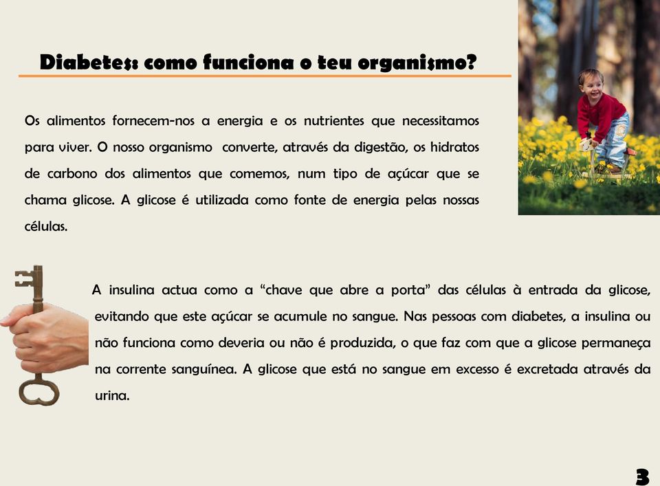 A glicose é utilizada como fonte de energia pelas nossas células.