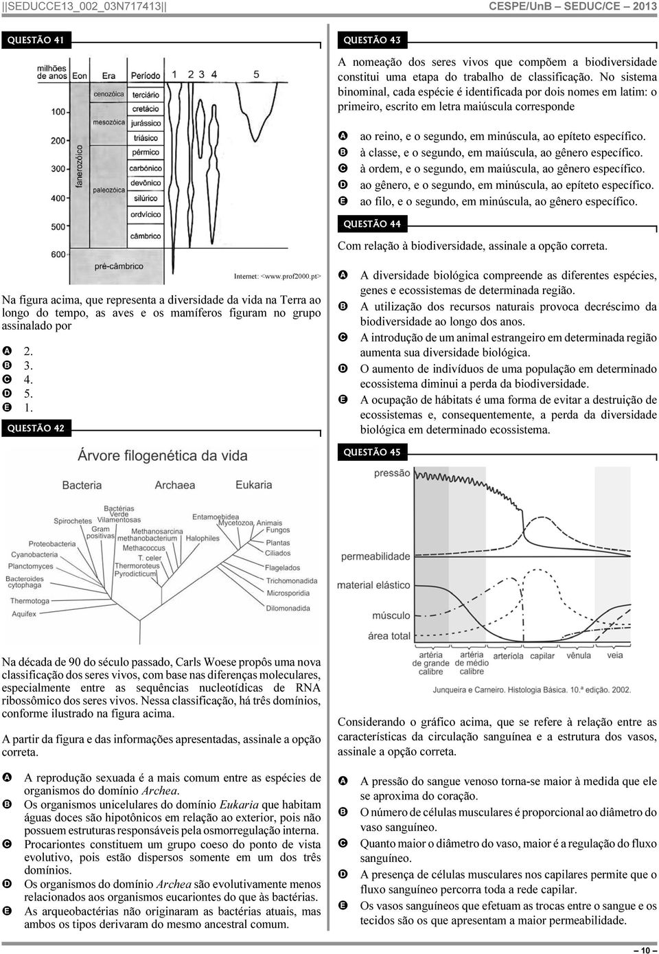 à classe, e o segundo, em maiúscula, ao gênero específico. à ordem, e o segundo, em maiúscula, ao gênero específico. ao gênero, e o segundo, em minúscula, ao epíteto específico.