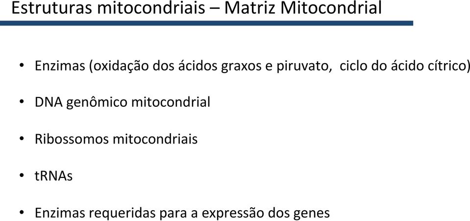 cítrico) DNA genômico mitocondrial Ribossomos