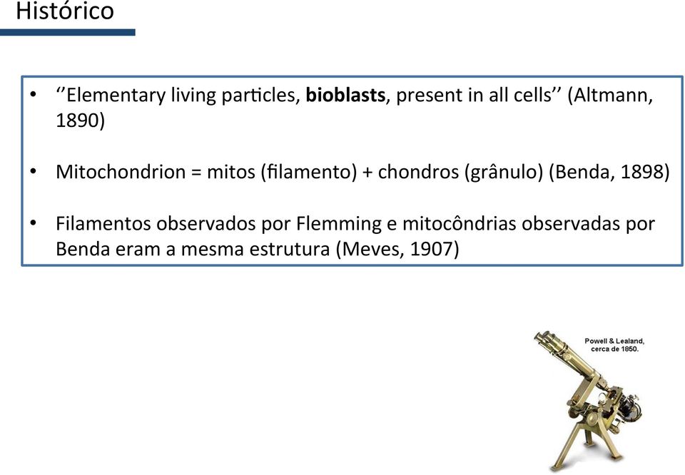 chondros (grânulo) (Benda, 1898) Filamentos observados por