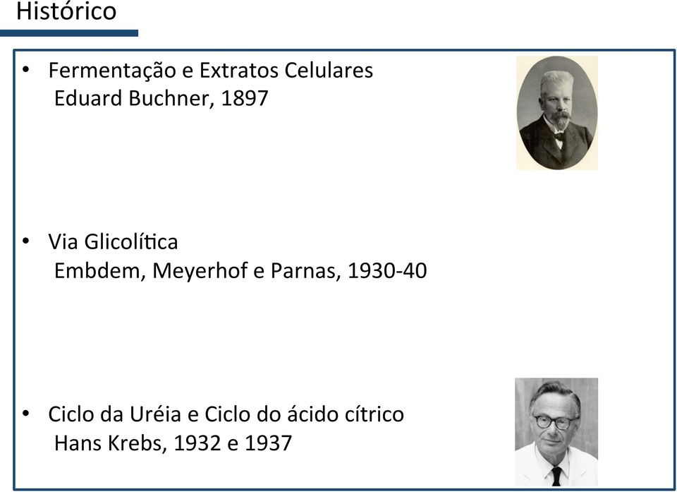 Meyerhof e Parnas, 1930-40 Ciclo da Uréia e